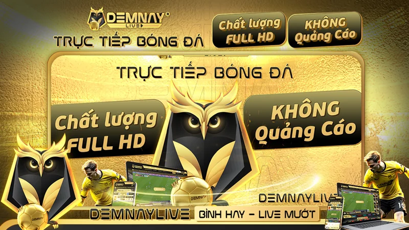 Demnaylive – Xem Trực Tiếp Bóng Đá Demnay.live Việt Nam
